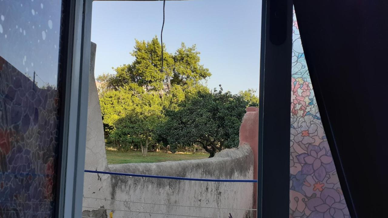Willa La Graziella Monolocale Procidano Zewnętrze zdjęcie